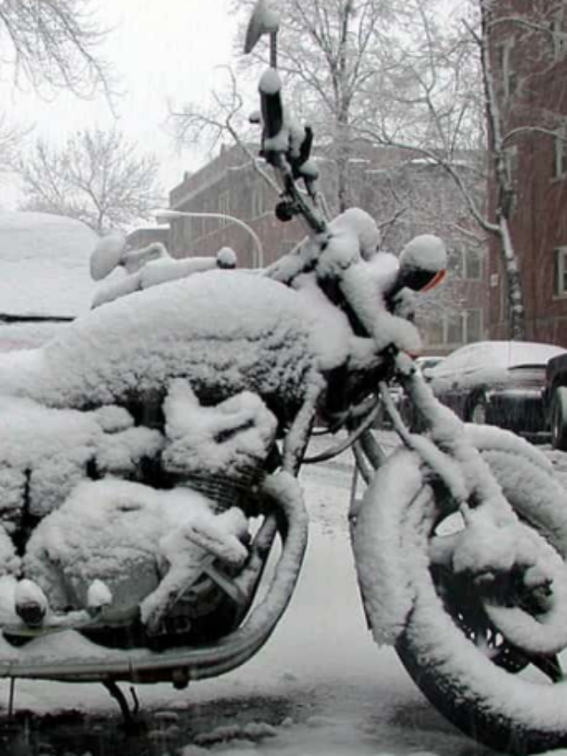 4 acessórios para se proteger do frio